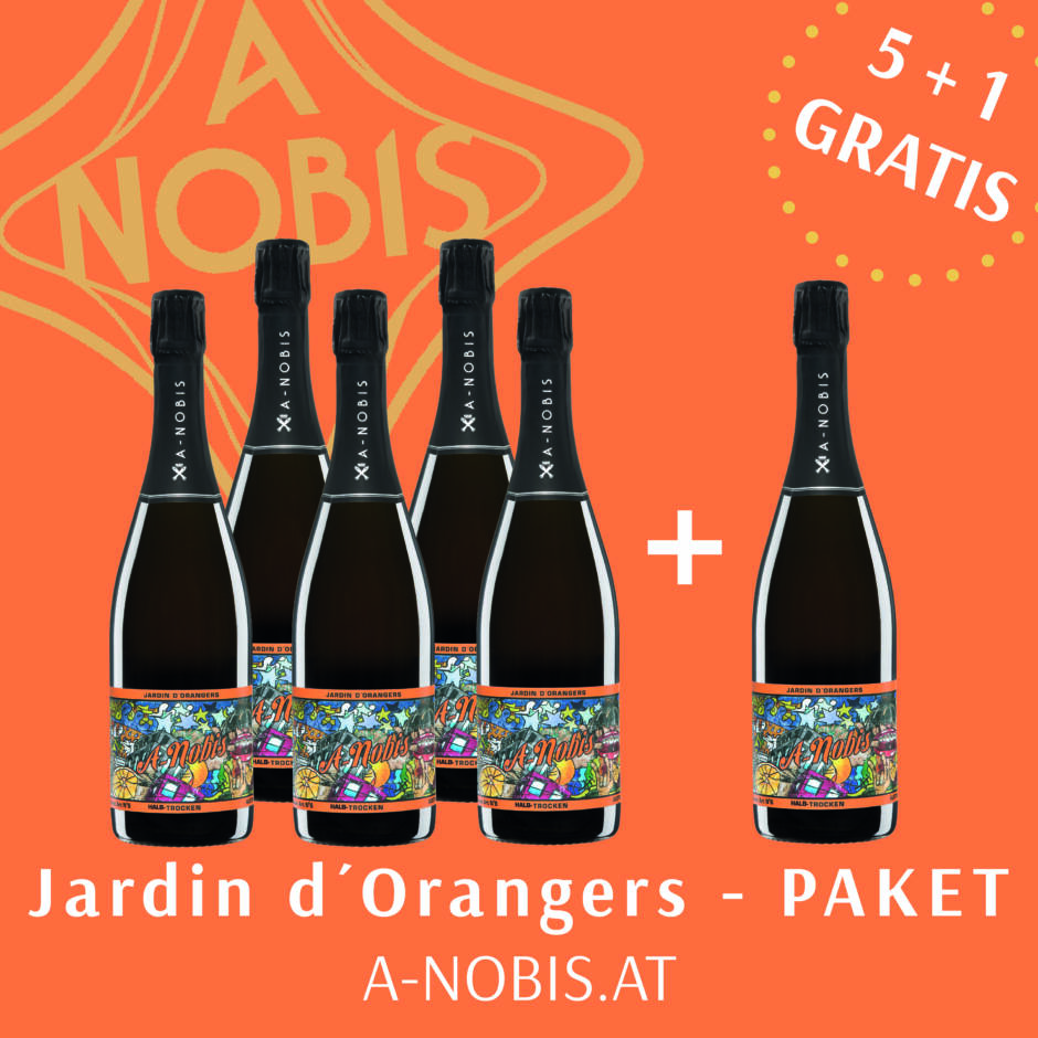 Orange-Sommergetränk-A-Nobis-Sommer