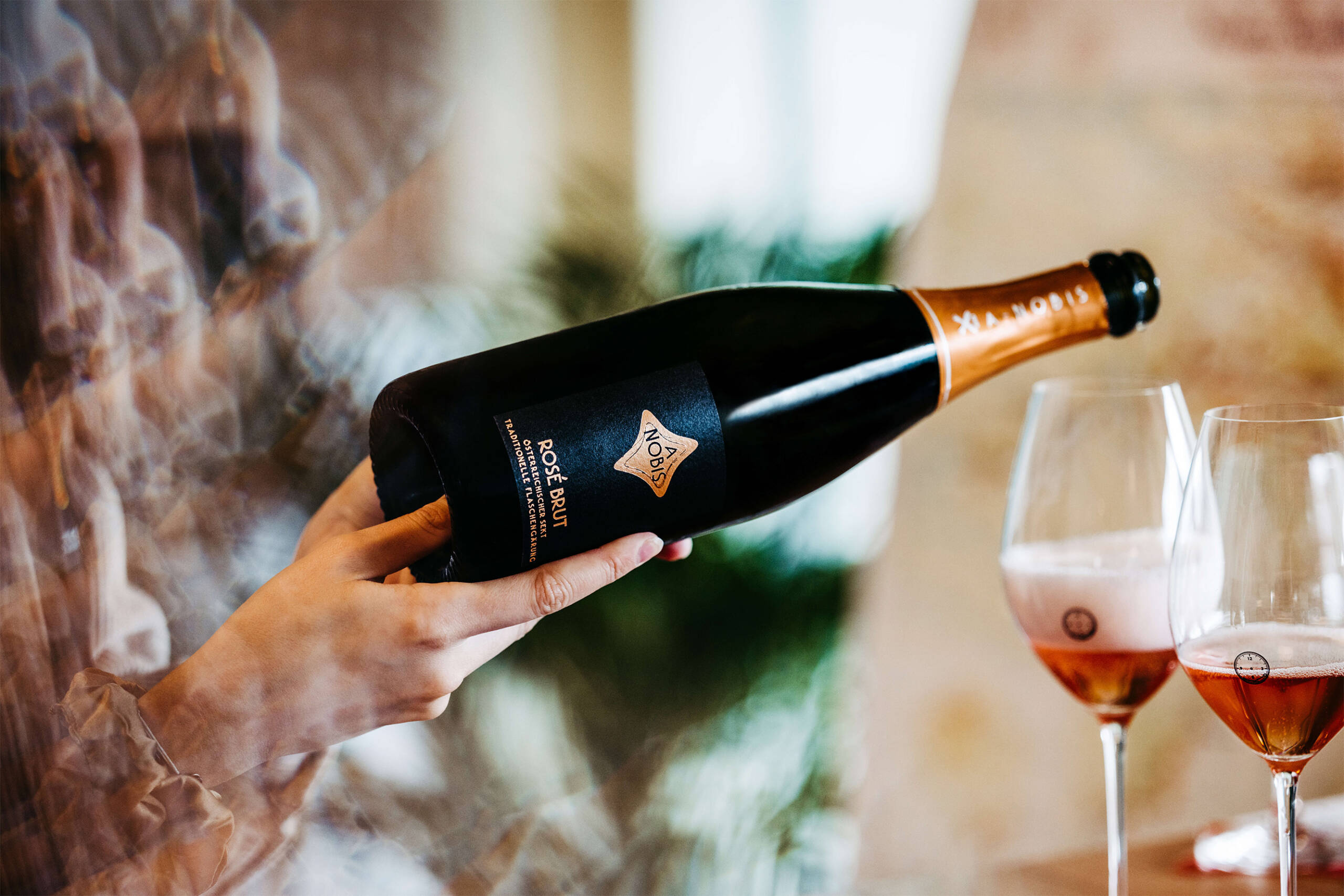 Kellerführungen-Verkostungen-Sekt-Champagner